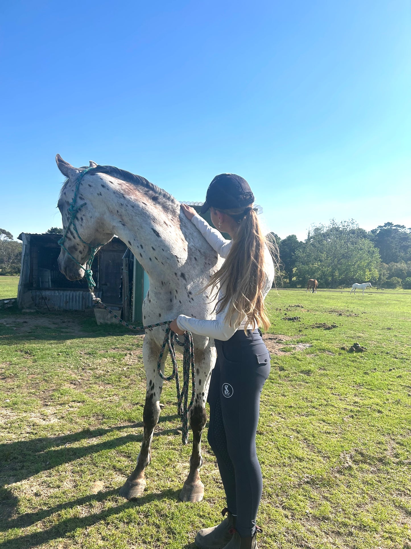 LS Everyday Base layer